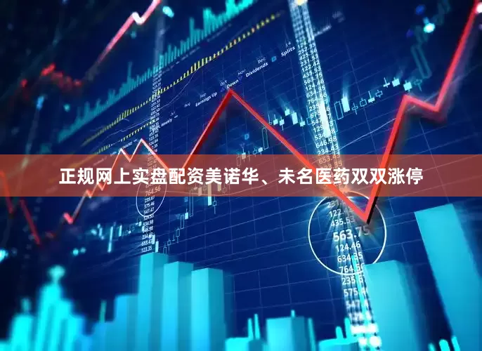 正规网上实盘配资美诺华、未名医药双双涨停